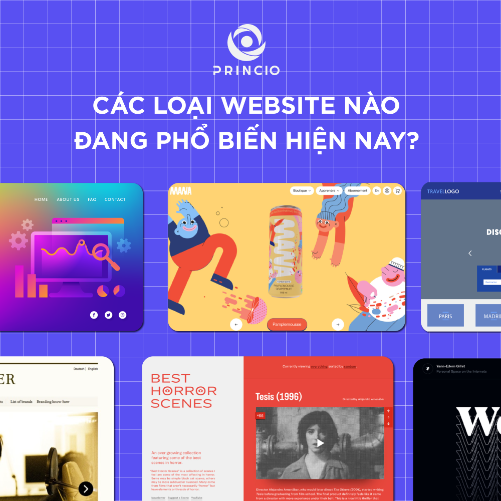 NHỮNG LOẠI WEBSITE NÀO ĐANG PHỔ BIẾN HIỆN NAY?